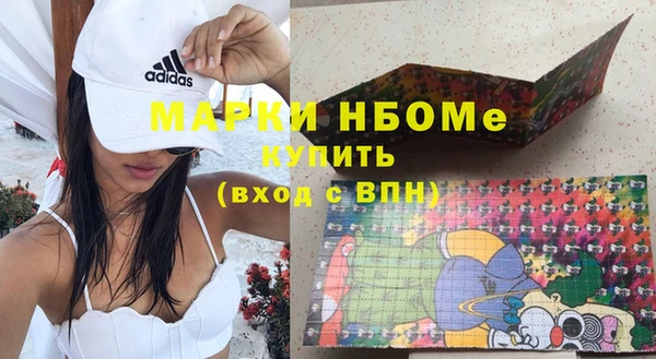 ГАЛЛЮЦИНОГЕННЫЕ ГРИБЫ Белокуриха