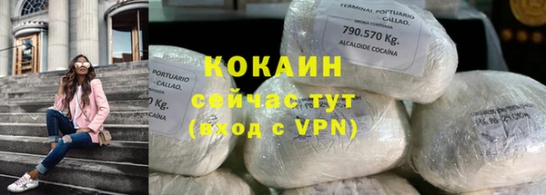 ГАЛЛЮЦИНОГЕННЫЕ ГРИБЫ Белокуриха