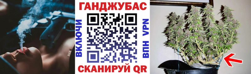 где можно купить   Обь  Шишки марихуана гибрид 